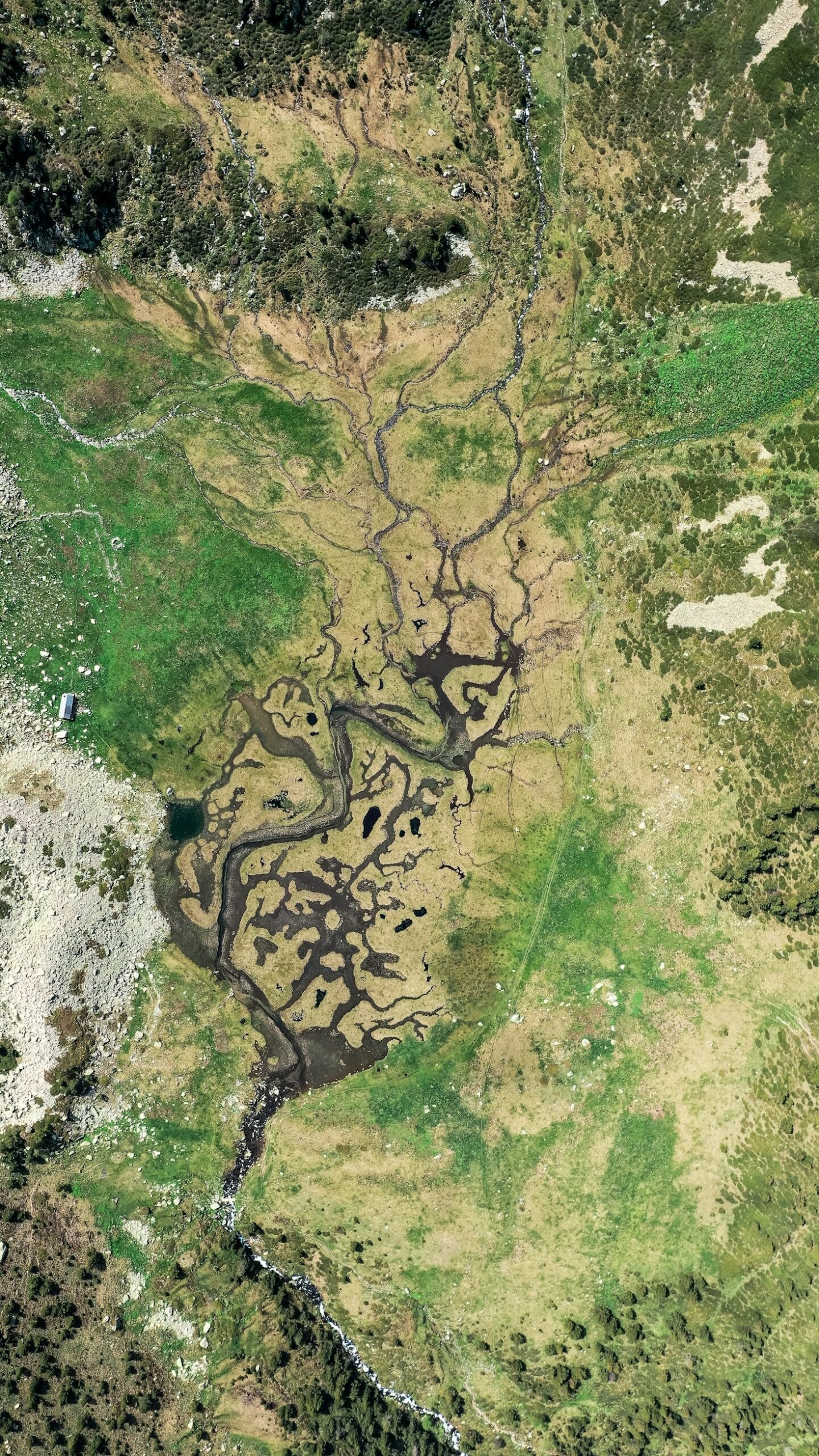 How Drone Videography is Revolutionizing Real Estate